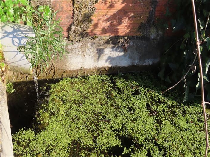 Image No.20-Property for sale