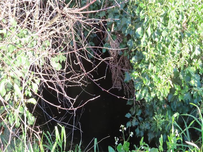 Image No.22-Property for sale