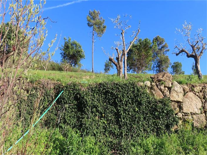 Image No.23-Property for sale