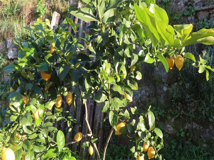 Image No.25-Property for sale