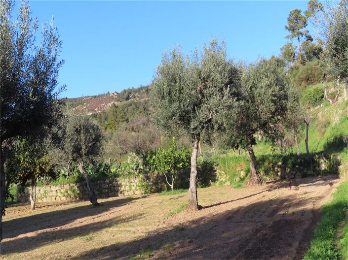 Image No.26-Property for sale