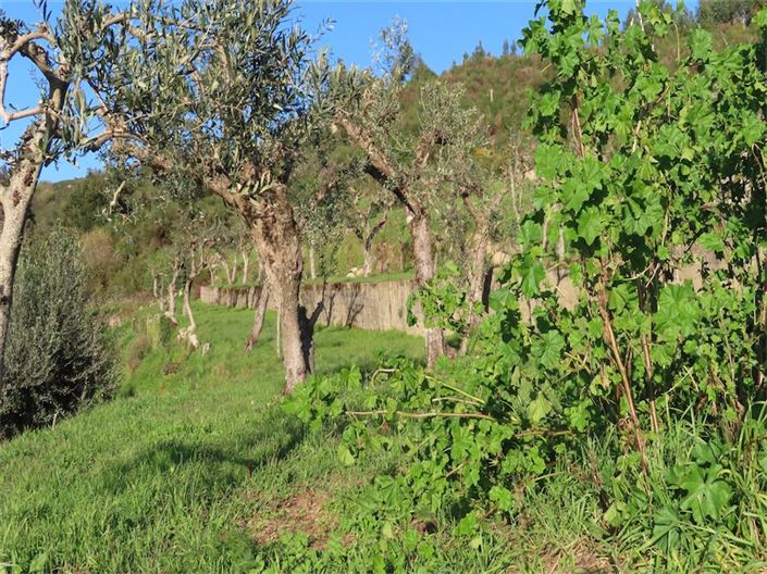 Image No.27-Property for sale