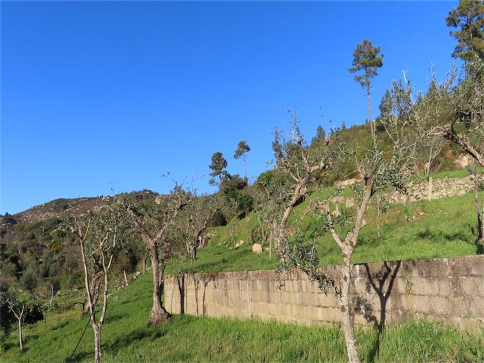 Image No.31-Property for sale