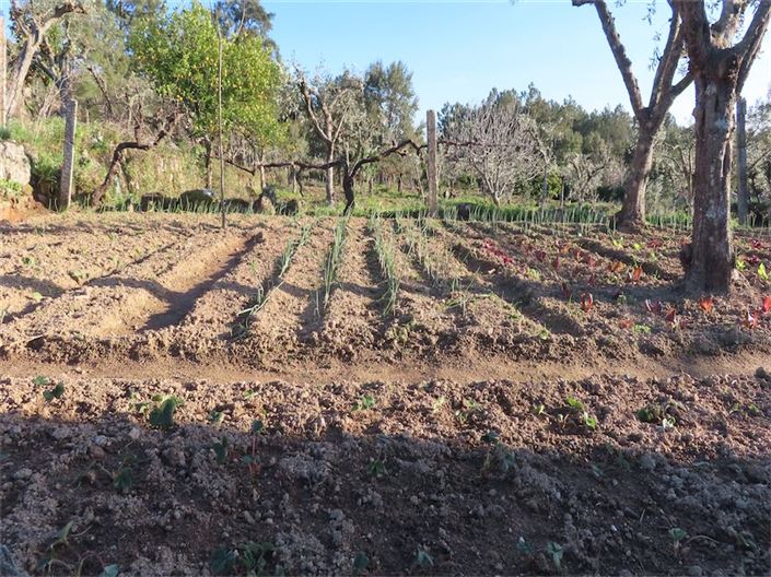 Image No.33-Property for sale