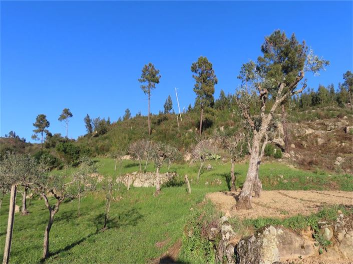 Image No.34-Property for sale