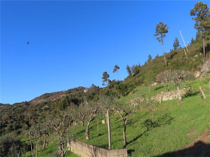 Image No.35-Property for sale