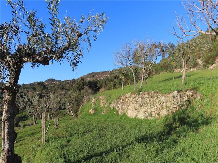 Image No.36-Property for sale