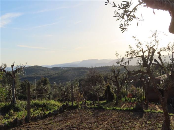 Image No.37-Property for sale