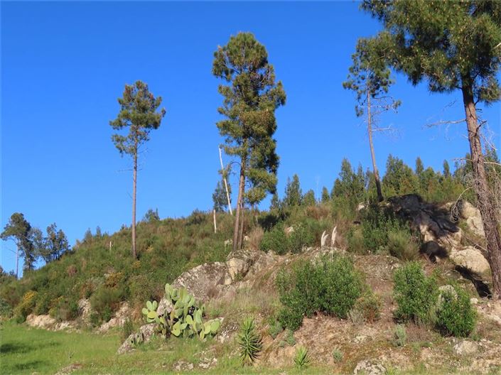 Image No.39-Property for sale