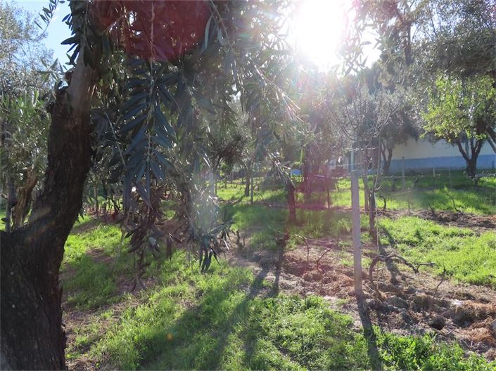 Image No.6-Property for sale