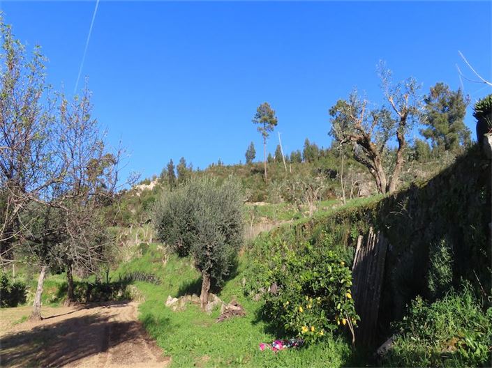 Image No.9-Property for sale