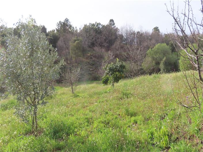 Image No.1-Property for sale