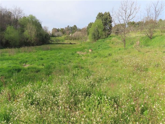 Image No.10-Property for sale