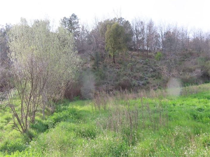 Image No.12-Property for sale