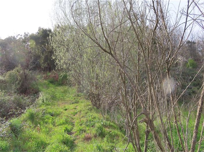 Image No.13-Property for sale