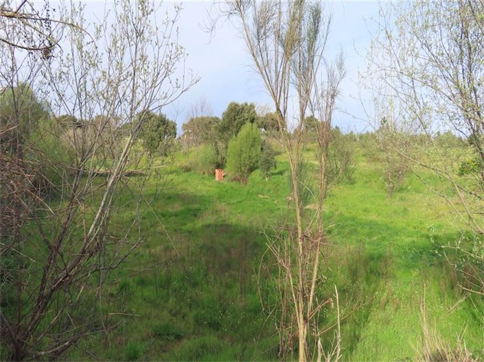 Image No.14-Property for sale