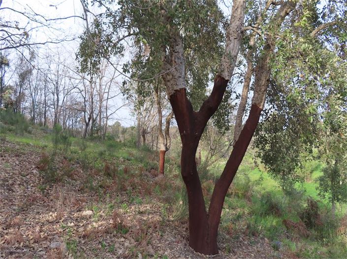 Image No.15-Property for sale