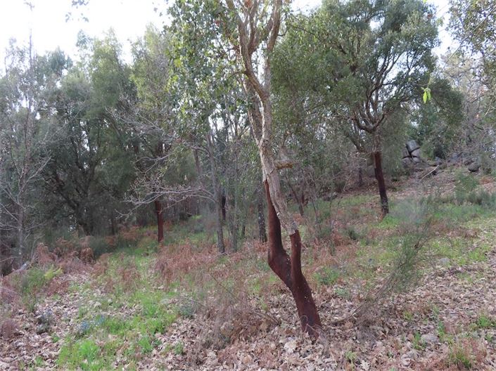 Image No.16-Property for sale