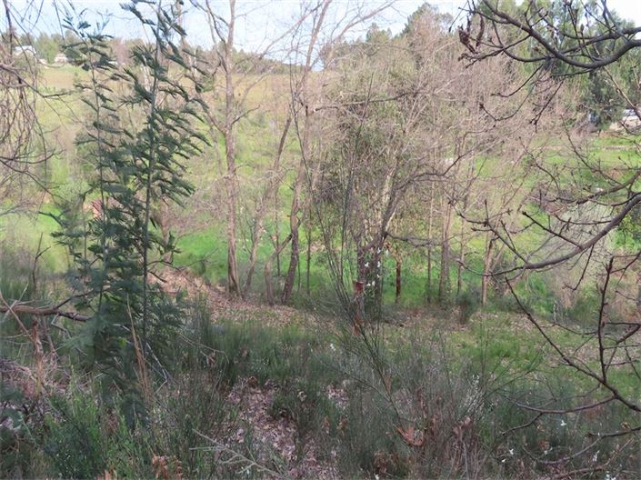 Image No.18-Property for sale