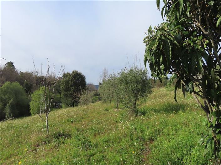 Image No.2-Property for sale