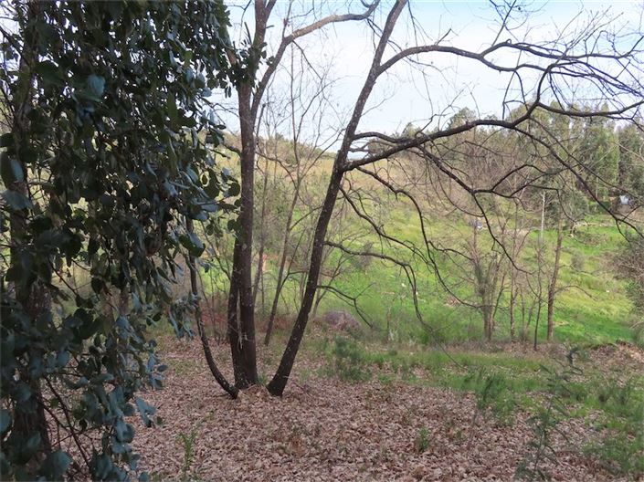 Image No.20-Property for sale