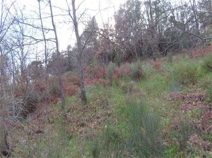 Image No.21-Property for sale