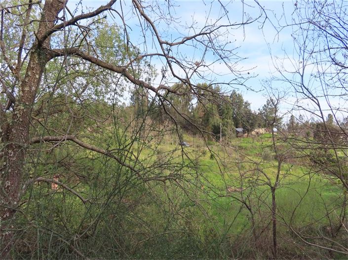 Image No.22-Property for sale