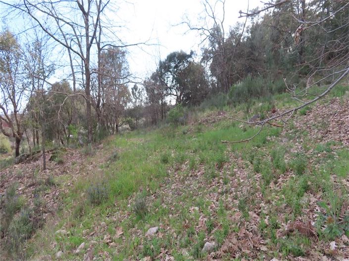 Image No.23-Property for sale