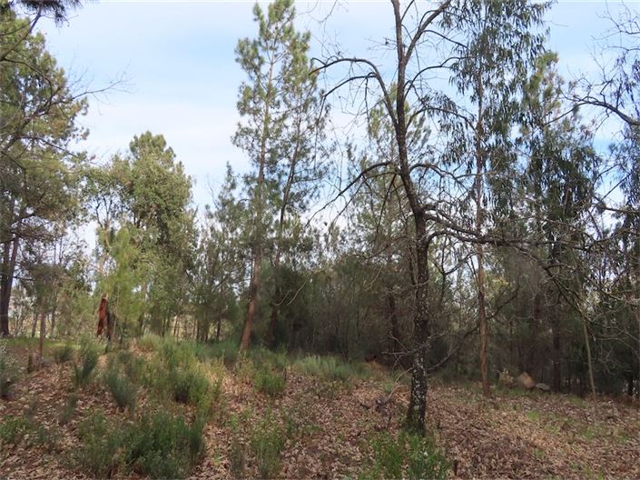 Image No.26-Property for sale