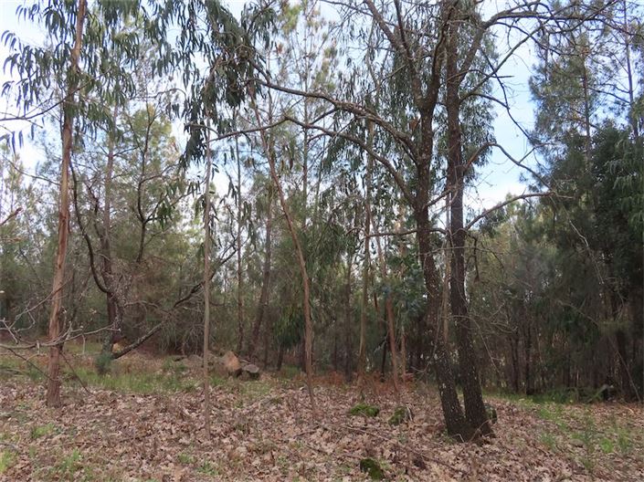 Image No.27-Property for sale