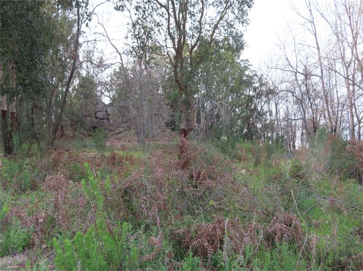 Image No.28-Property for sale