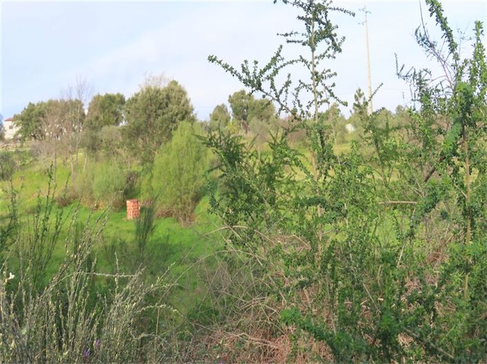 Image No.29-Property for sale