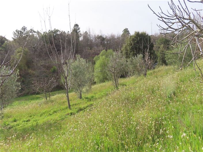 Image No.3-Property for sale