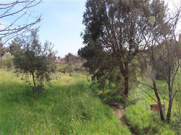 Image No.4-Property for sale