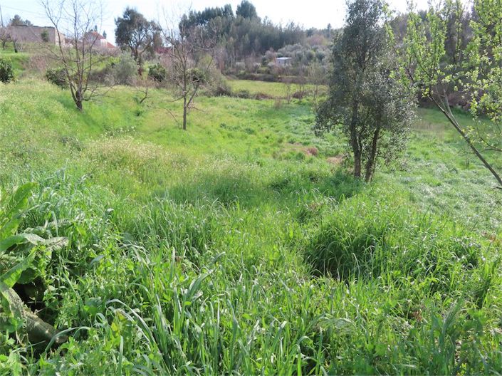 Image No.5-Property for sale