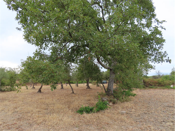 Image No.10-Property for sale