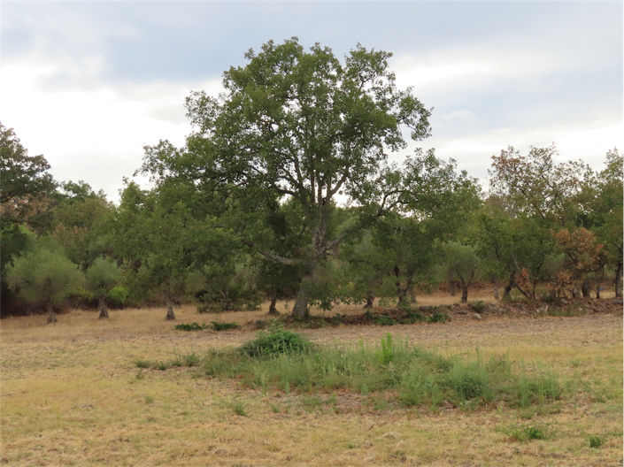 Image No.16-Property for sale