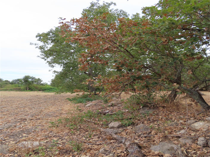 Image No.17-Property for sale