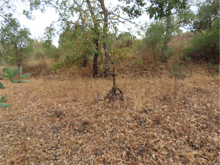 Image No.2-Property for sale