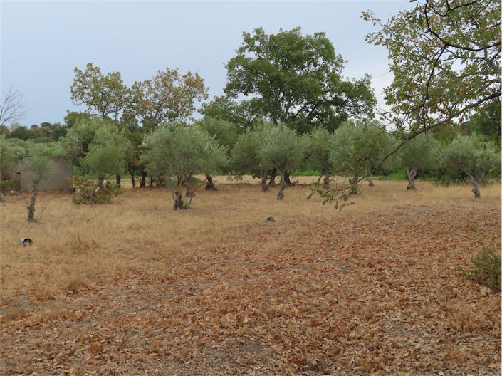 Image No.3-Property for sale