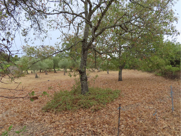 Image No.5-Property for sale