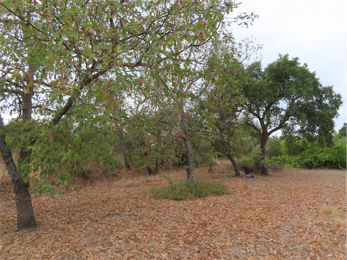 Image No.6-Property for sale