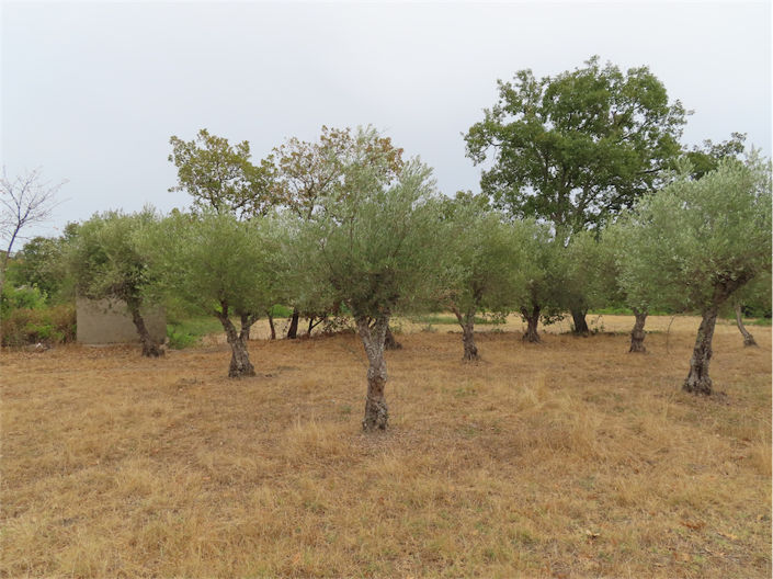 Image No.7-Property for sale