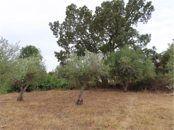 Image No.9-Property for sale