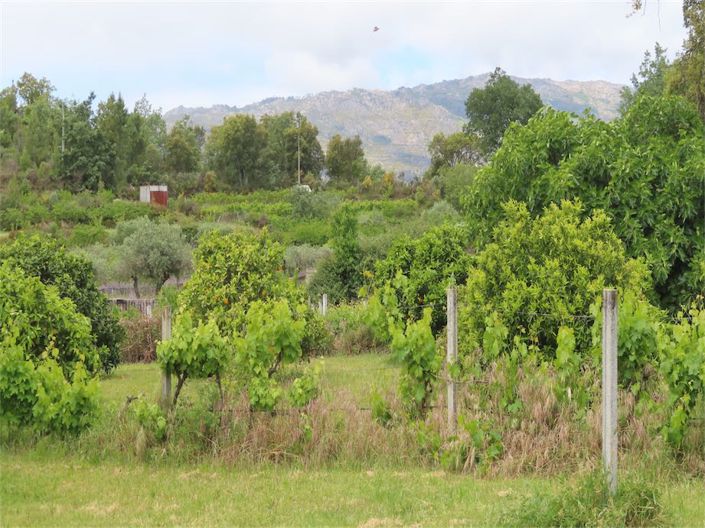 Image No.33-5 Bed Property for sale