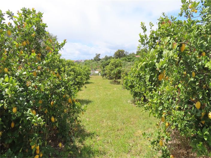 Image No.34-5 Bed Property for sale