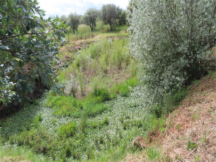 Image No.38-5 Bed Property for sale