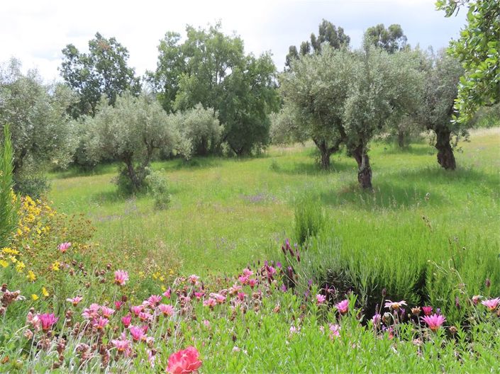 Image No.43-5 Bed Property for sale