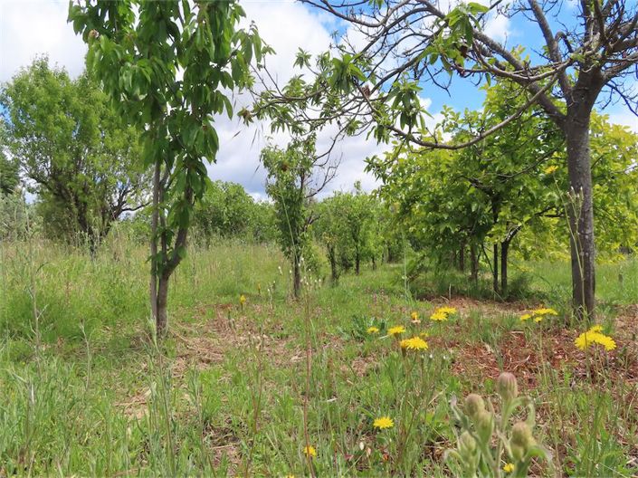 Image No.49-5 Bed Property for sale