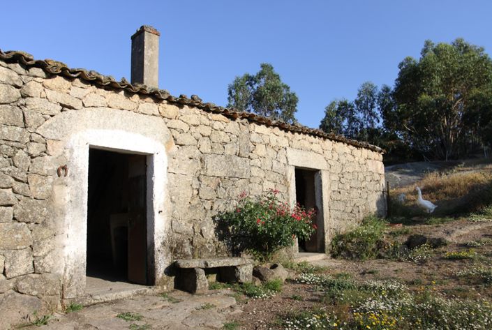 Image No.1-Propriété à vendre à Castelo Branco